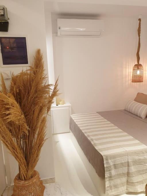 Amalthea Guest House Kos Town Ngoại thất bức ảnh